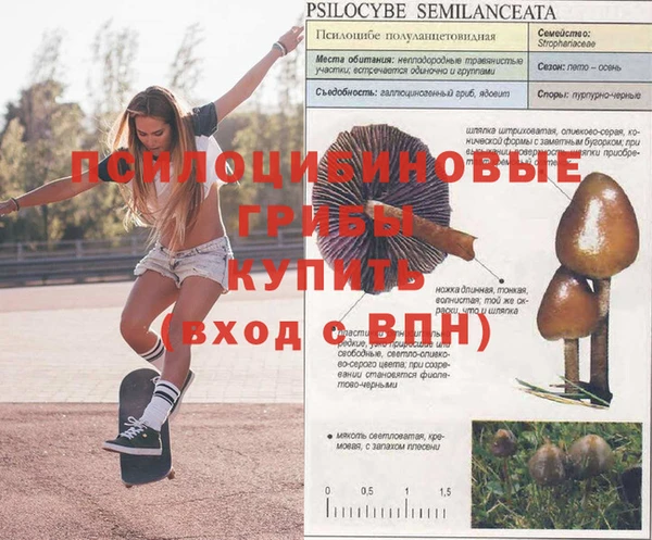 МДМА Верхний Тагил